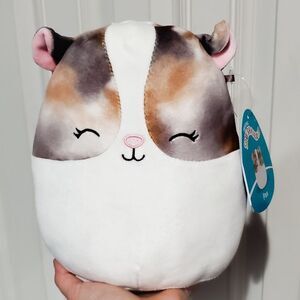 8" Squishmallow Pax the hamster chinchilla soft plush Kellytoy gift toy
